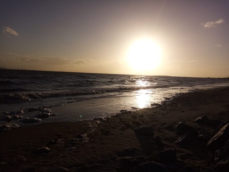 Reflection – Third Sunday of Easter